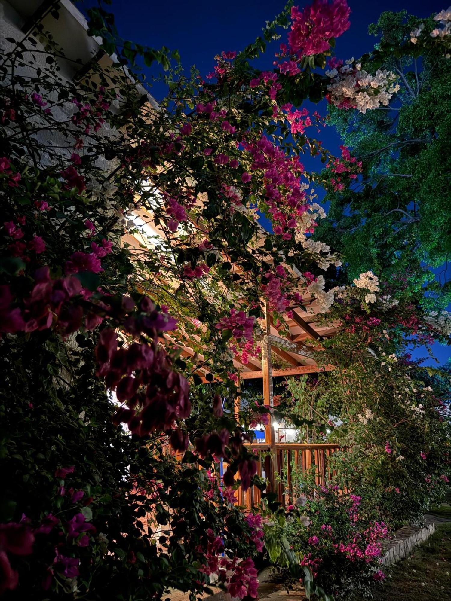 Hotel Jardin Boutique Rodadero Santa Marta (Magdalena) Exterior foto