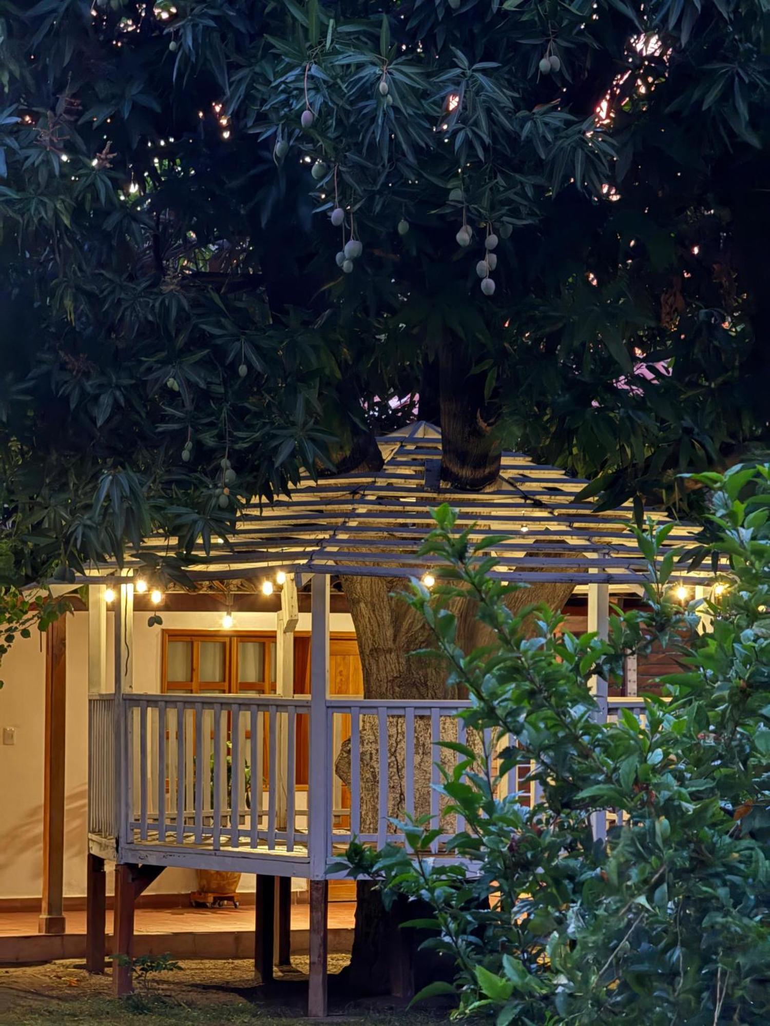 Hotel Jardin Boutique Rodadero Santa Marta (Magdalena) Exterior foto
