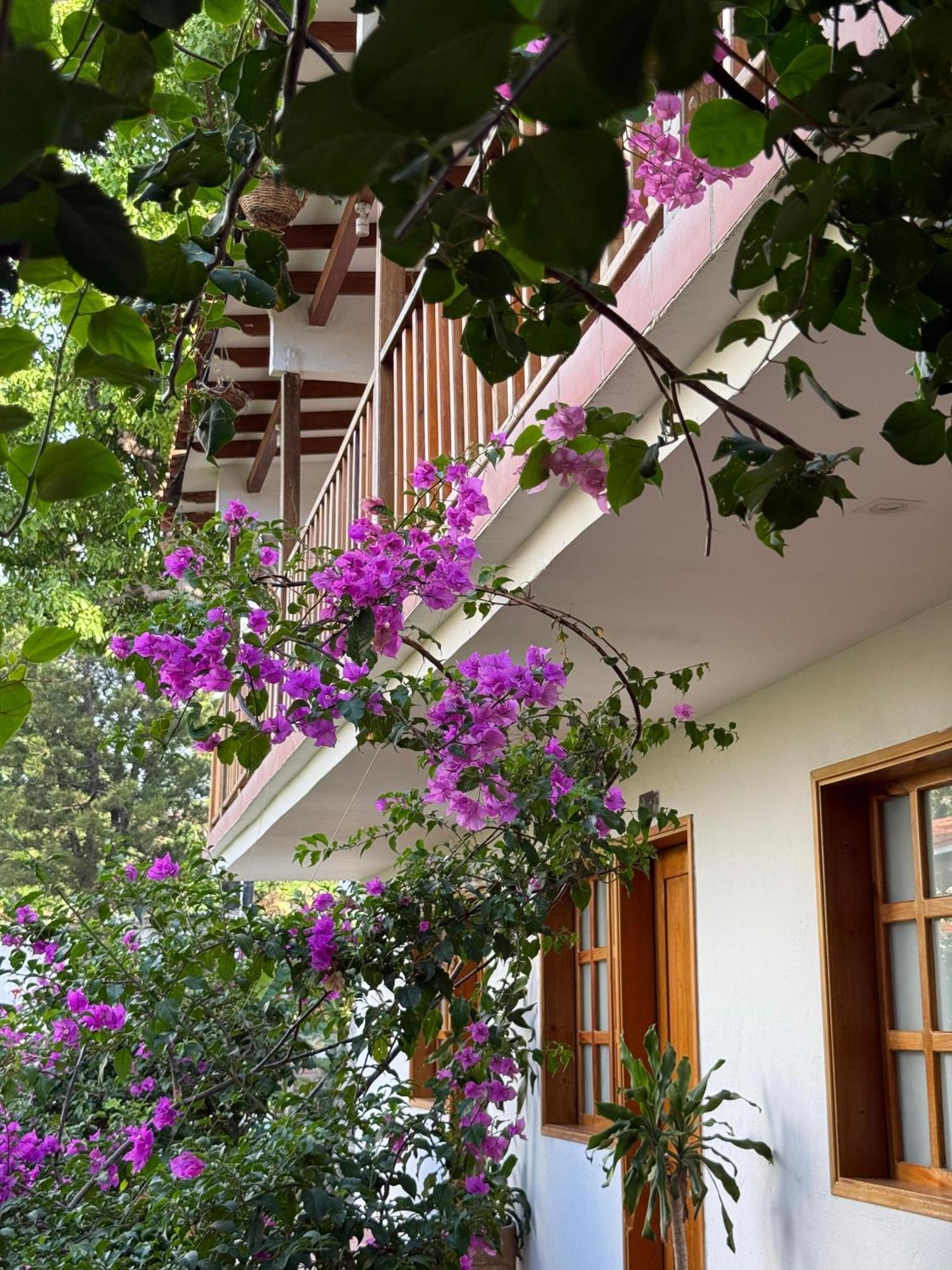 Hotel Jardin Boutique Rodadero Santa Marta (Magdalena) Exterior foto